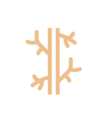 Ícone Doenças Arteriais