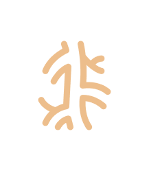 Ícone Doenças venosas